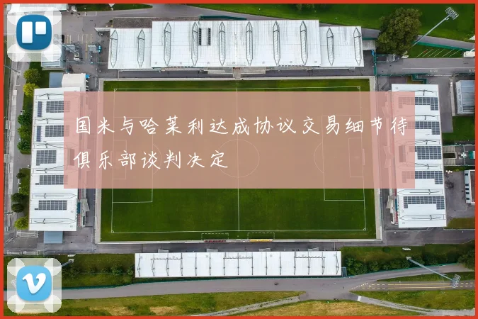 国米与哈莱利达成协议交易细节待俱乐部谈判决定